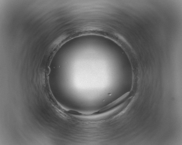 X0000054460777200508121936