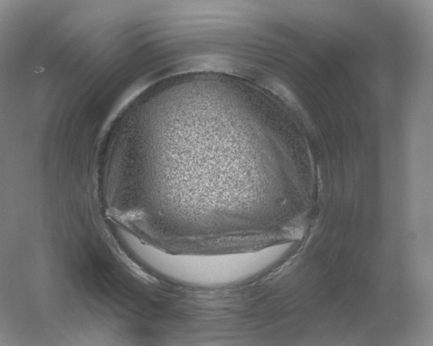 X0000054460780200508121936