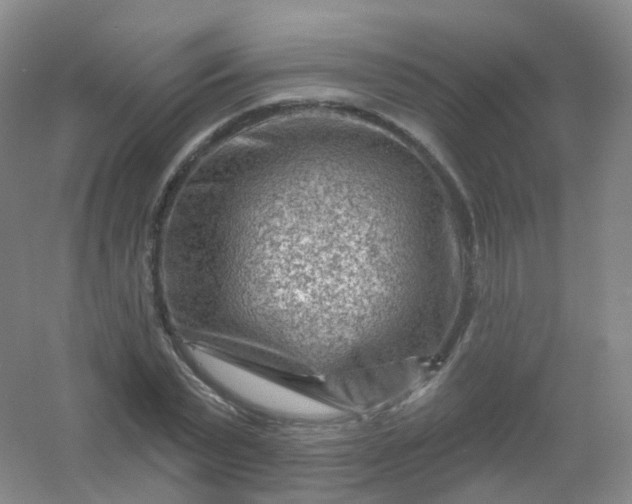 X0000054460783200508121936