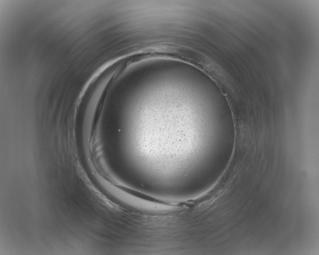 X0000054460784200508121936