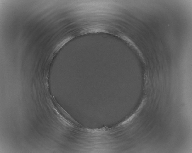 X0000054460785200508121936