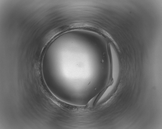 X0000054460786200508121936