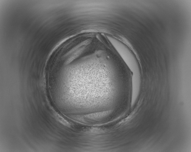 X0000054460787200508121936