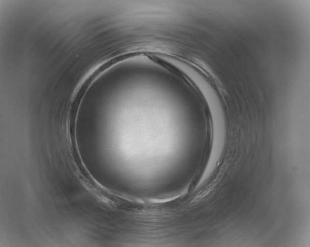 X0000054460788200508121936