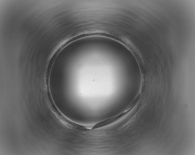 X0000054460789200508121936