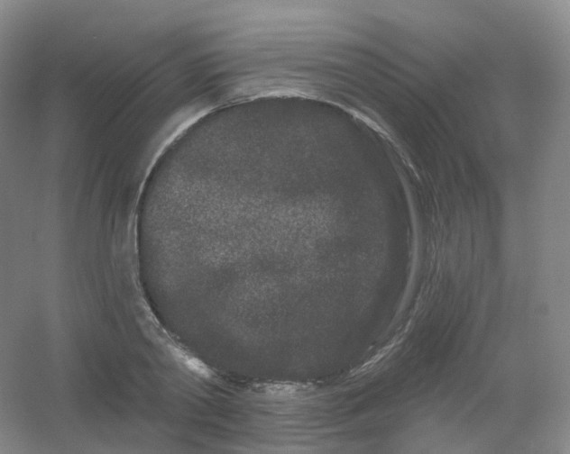 X0000054460790200508121936