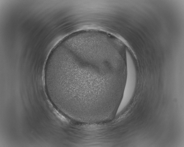 X0000054460791200508121936