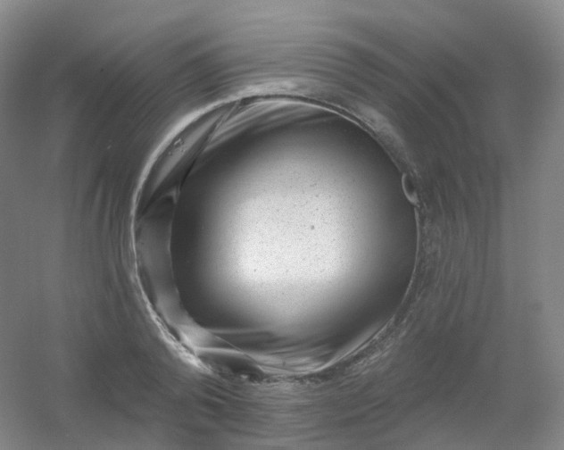 X0000054460792200508121936