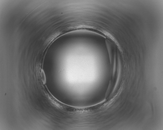 X0000054460793200508121936