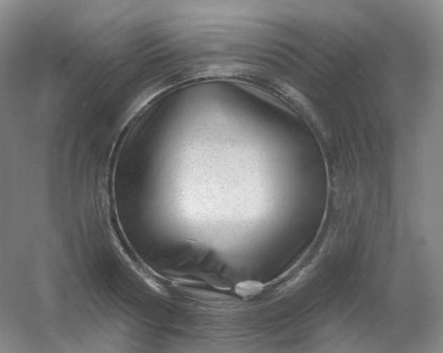 X0000054460794200508121936