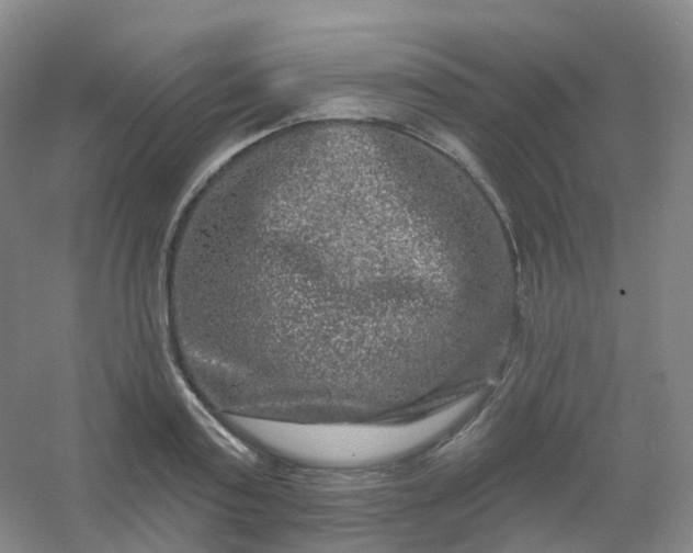 X0000054460795200508121936