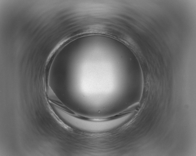 X0000054460796200508121936