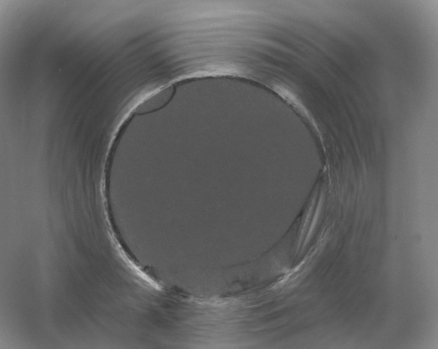 X0000054460797200508121936