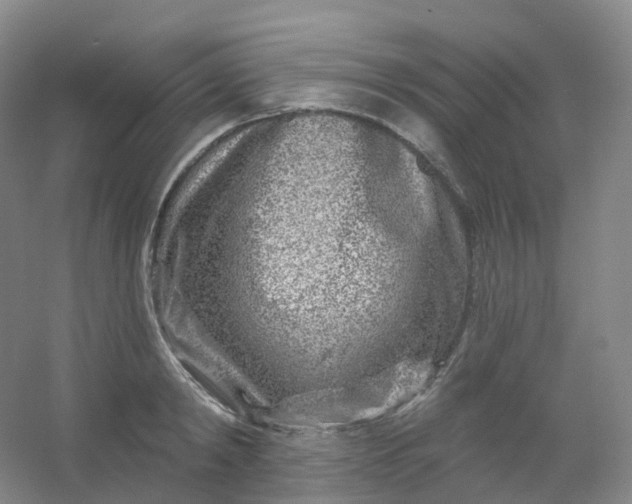 X0000054460798200508121936