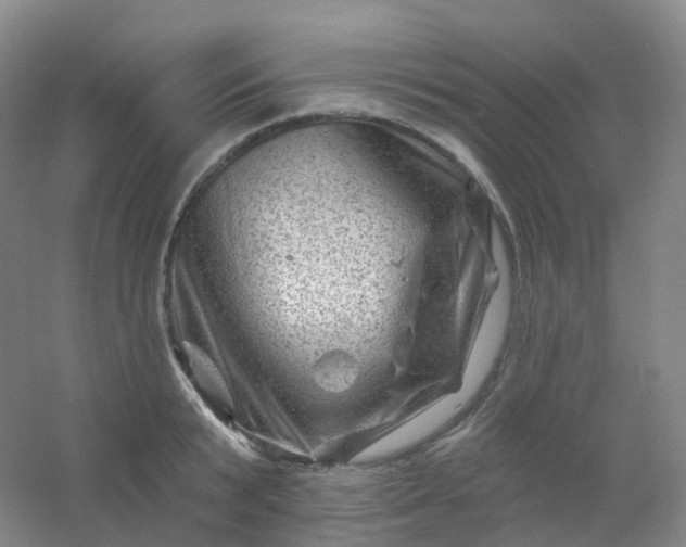 X0000054460799200508121936