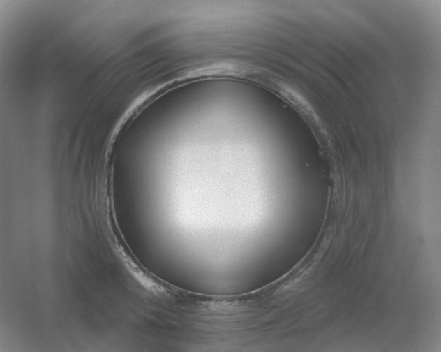 X0000054460800200508121936