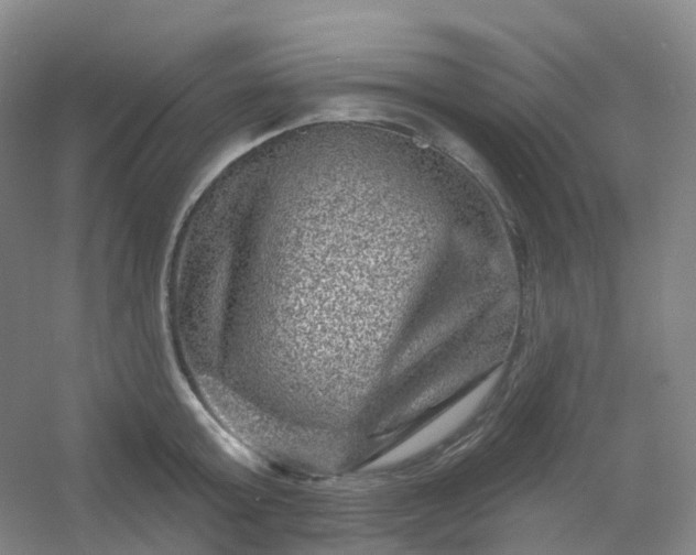 X0000054460803200508121936