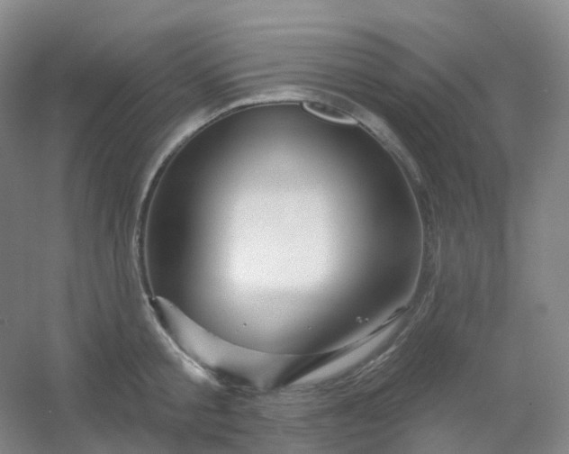 X0000054460805200508121936