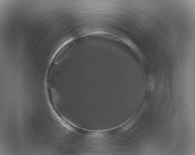 X0000054460806200508121936