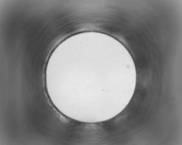 X0000054460807200508121936