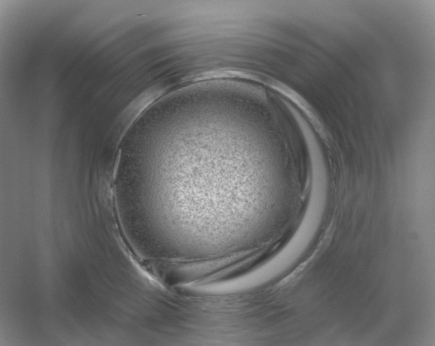 X0000054460809200508121936