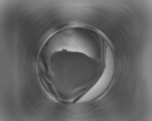 X0000054460810200508121935