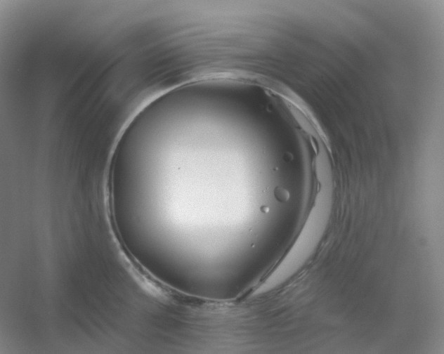 X0000054460811200508121935