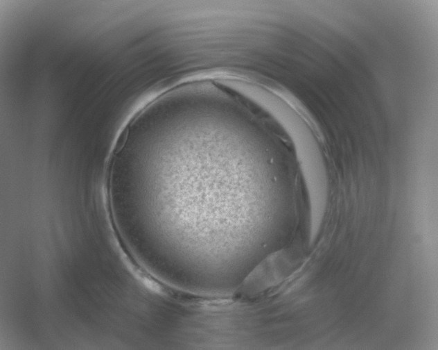 X0000054460813200508121935