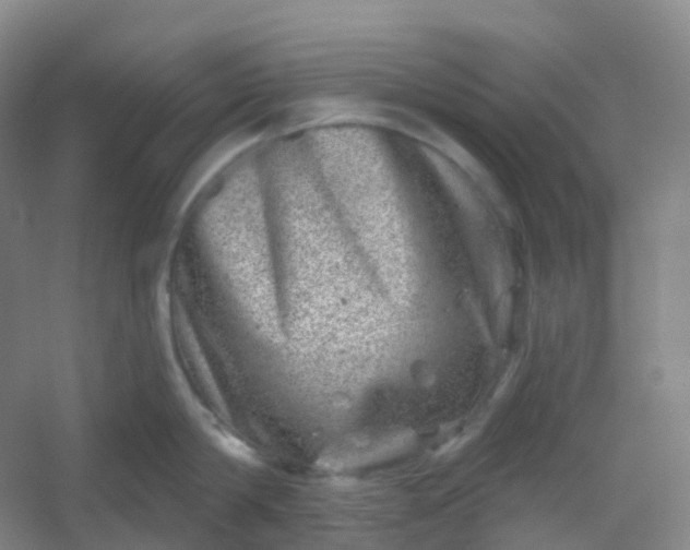 X0000054460814200508121935