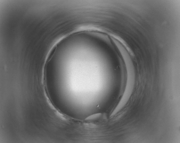 X0000054460815200508121935