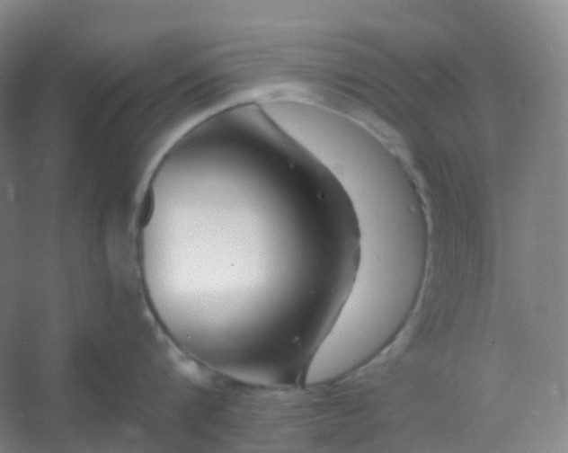 X0000054460816200508121935