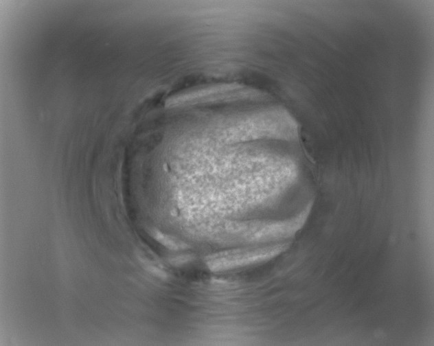 X0000054460817200508121935