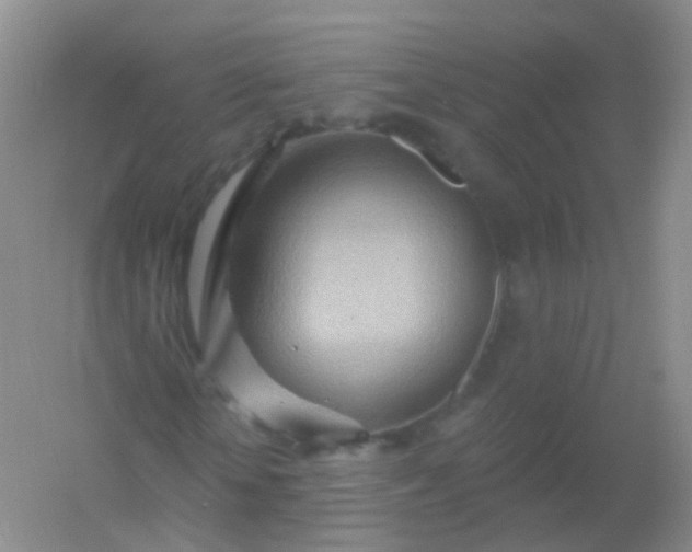 X0000054460818200508121935