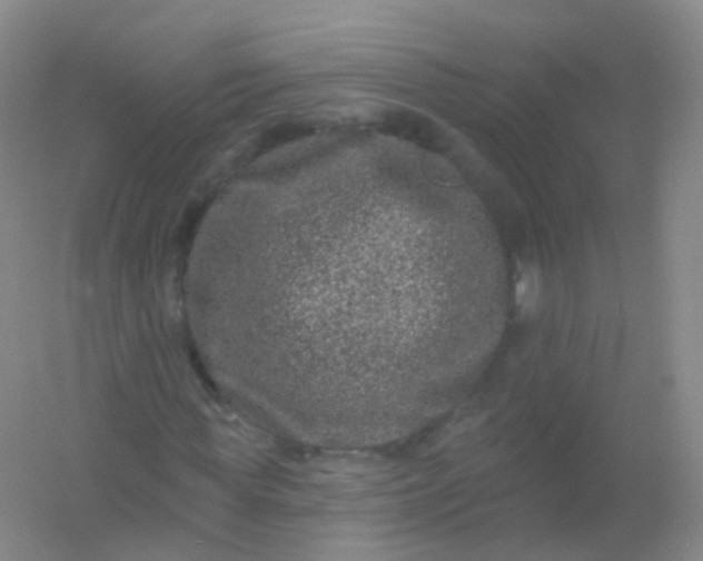 X0000054460819200508121935