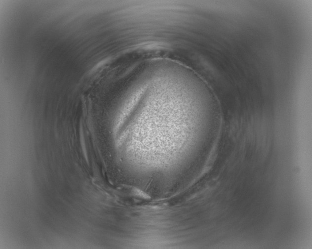 X0000054460821200508121935