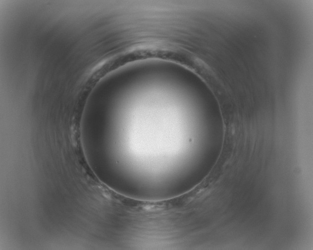 X0000054460822200508121935