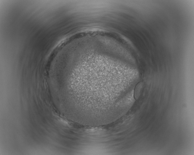 X0000054460823200508121935