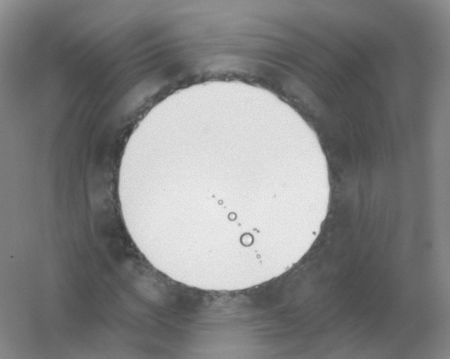 X0000054460824200508121935