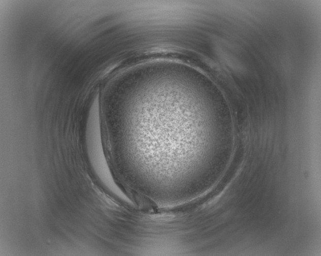 X0000054460825200508121935