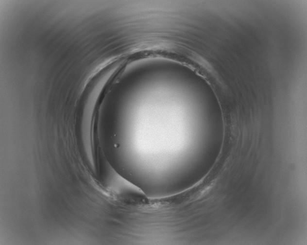 X0000054460826200508121935