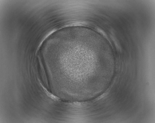 X0000054460827200508121935