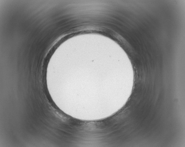 X0000054460828200508121935