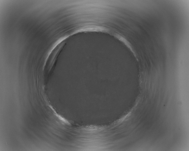 X0000054460829200508121935