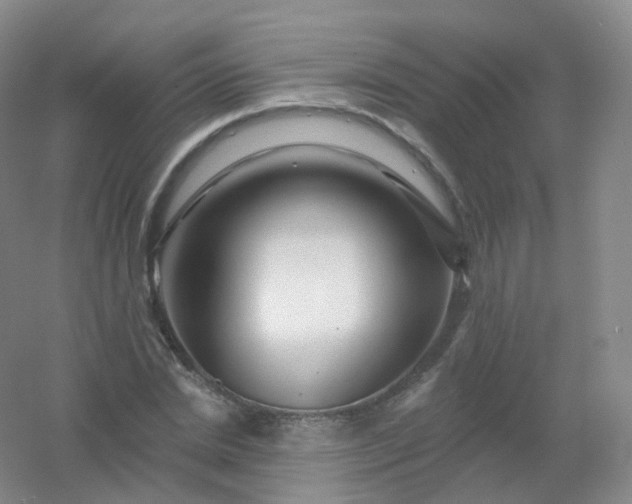 X0000054460830200508121935