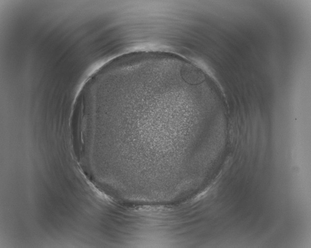 X0000054460831200508121935