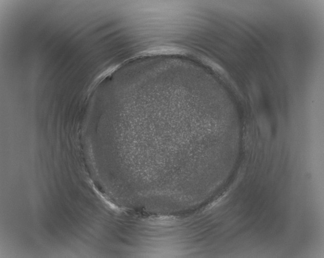 X0000054460833200508121935