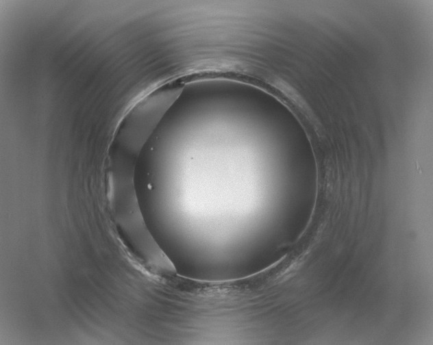 X0000054460834200508121935