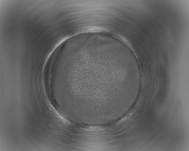 X0000054460835200508121935