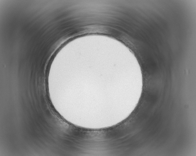 X0000054460836200508121935