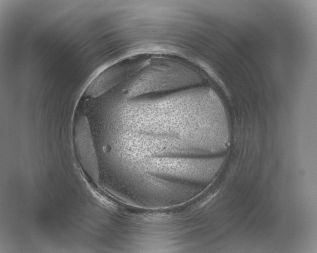 X0000054460837200508121935